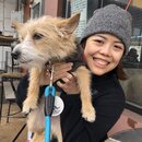 Wan Shan Comes Back to Austin