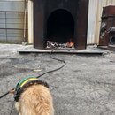 Wan Shan Comes Back to Austin (995343)