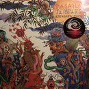 Trip to Boise with Timmy (994099)