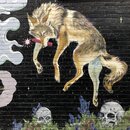 Trip to Boise with Timmy (996491)