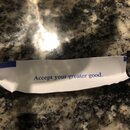 Fortune Cookie Collection (992597)