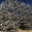 Austin Trip with DaveG (995512)