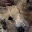 Atticus Finch! (995709)