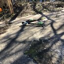 Austin Trip with DaveG (996539)