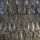 Austin Trip with DaveG (993737)