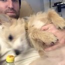 Atticus Finch! (997322)