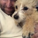 Atticus Finch! (993812)