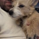 Atticus Finch! (993596)