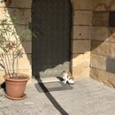 Exploring GÃ¶reme, Cappadocia (990544)