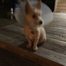 Atticus Finch! (983845)