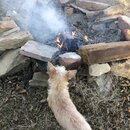 Fire Pit with Atters (986547)