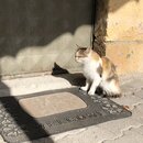 Exploring GÃ¶reme, Cappadocia (987400)