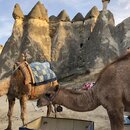 The Fairy Rocks of Cappadocia (991359)