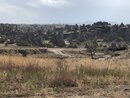 The Fairy Rocks of Cappadocia (992858)