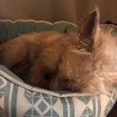 Atticus Finch! (982568)