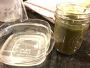 Kratom Project (987081)