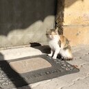 Exploring GÃ¶reme, Cappadocia (986769)