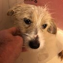 Atticus Finch! (983785)