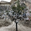 The Fairy Rocks of Cappadocia (987247)