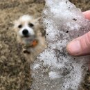 Frost Day in Austin (987753)