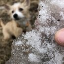 Frost Day in Austin (988036)