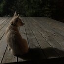 Atticus Finch! (987572)