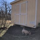 Atticus Finch! (987584)