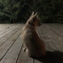 Atticus Finch! (992687)