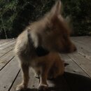 Atticus Finch! (981616)