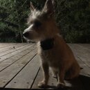 Atticus Finch! (987187)