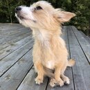 Atticus Finch! (981394)