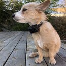 Atticus Finch! (991627)