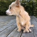 Atticus Finch! (985306)