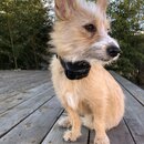 Atticus Finch! (987585)