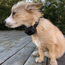 Atticus Finch! (985733)