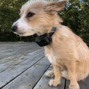 Atticus Finch! (988053)