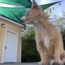 Atticus Finch! (985589)