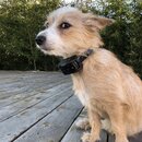 Atticus Finch! (986434)