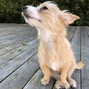 Atticus Finch! (990425)