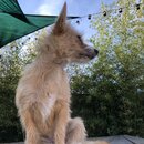 Atticus Finch! (989572)