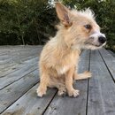 Atticus Finch! (985910)