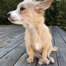 Atticus Finch! (989513)