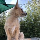 Atticus Finch! (987189)