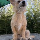 Atticus Finch! (981385)