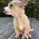 Atticus Finch! (986428)