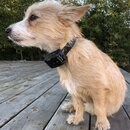 Atticus Finch! (986953)