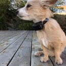 Atticus Finch! (989166)