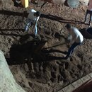 Playing Around Wadi Rum (984468)