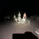 Playing Around Wadi Rum (984623)