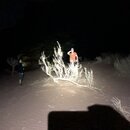 Playing Around Wadi Rum (982190)